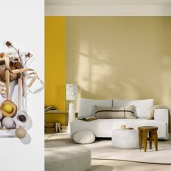 dulux cf25 colour of the year 1room4ways global 2.jpg