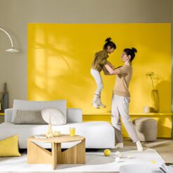 dulux cf25 colour of the year hero global 3.jpg