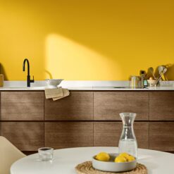 dulux cf25 colour of the year hero global 4.jpg